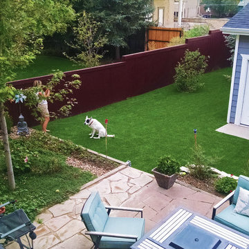 Denver Yard with Artificial Grass for Dogs