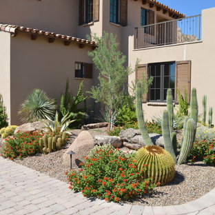 75 Beautiful Desert Front Yard Landscaping Pictures & Ideas - July