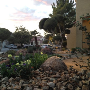 Desert Landscapes