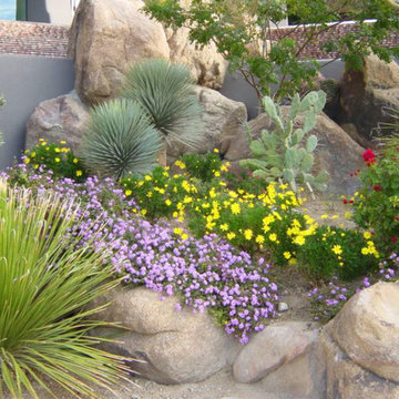 Desert Landscapes