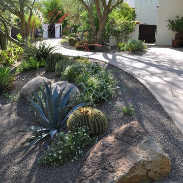 Desert Landscaping