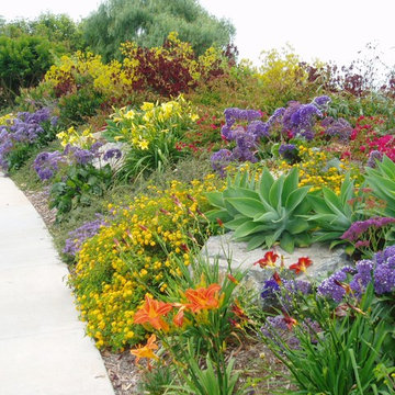 Design Build: Carlsbad Tuscan Colors