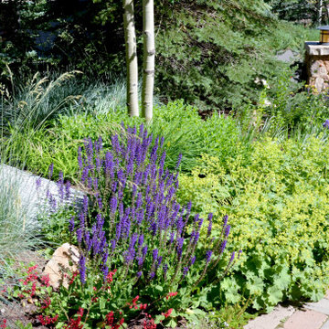 Design - Build Mountain Home Landscape in Vail, CO