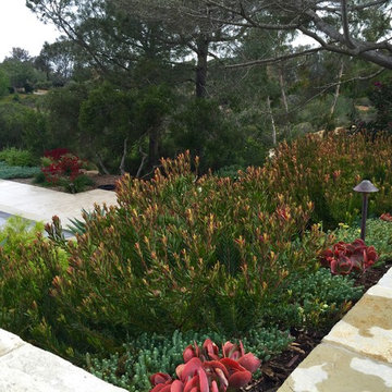 Design Build: Rancho Santa Fe - Full circle