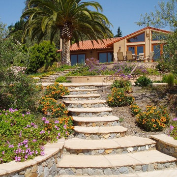 Design Build: RSF Mediterranean renovation