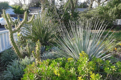 Ejemplo de jardín de estilo americano con exposición total al sol
