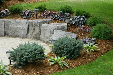 Modelo de jardín contemporáneo en patio delantero con mantillo
