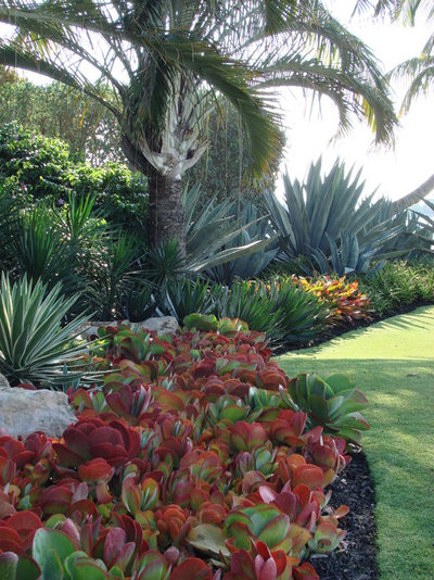 Tropical Garden Designs By Todd MacLean Outdoor Living