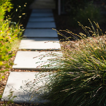 Detailed Contemporary Pathway