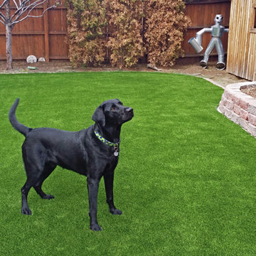 Dog Friendly Artificial Grass in Denver