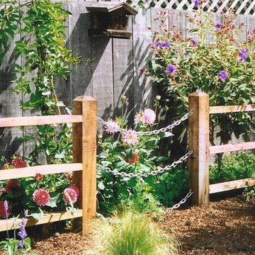 Dog Friendly Garden