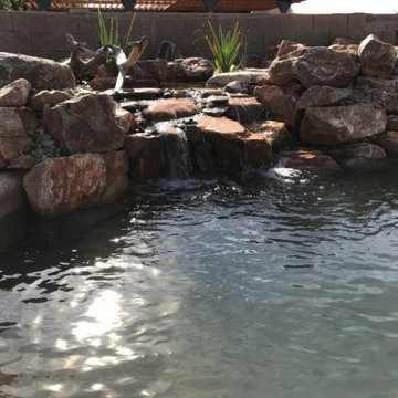 Donahoe Pool to Pond Conversion