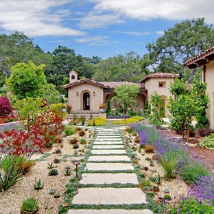 Large mediterranean courtyard formal full sun garden in San Francisco with a garden path and natural stone paving.