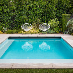Photo of a mid-century modern backyard landscaping in Orange County.