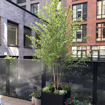 Downtown Manhattan Terrace Garden