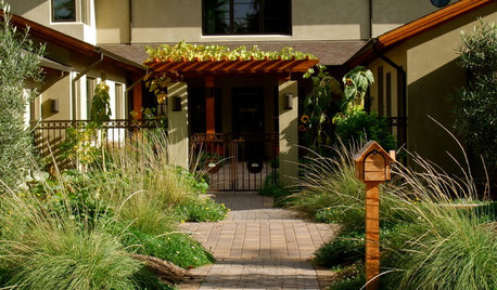 See 5 Native Alternatives to Feather Grass and Fountain Grass