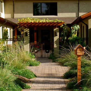 Downtown Mediterranean Garden