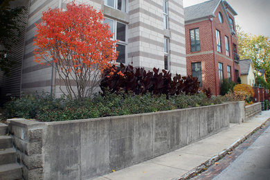 Idee per un giardino xeriscape contemporaneo esposto in pieno sole davanti casa e di medie dimensioni in autunno con un ingresso o sentiero e pavimentazioni in cemento
