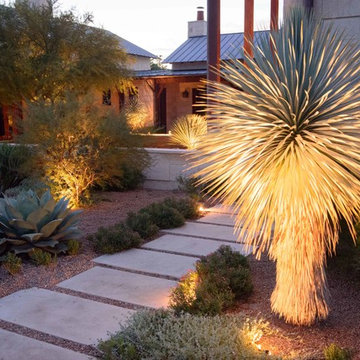 Dramatic Specimen Planting with Accent Lighting