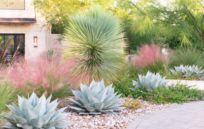 14 Beautiful Native Plants for Shade Gardens