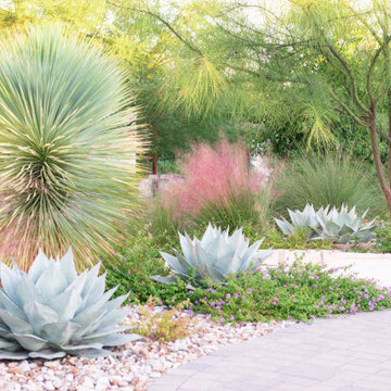 Dramatic Streetscape Planting