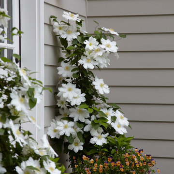 Dream Home Container Plantings - Armonk, NY