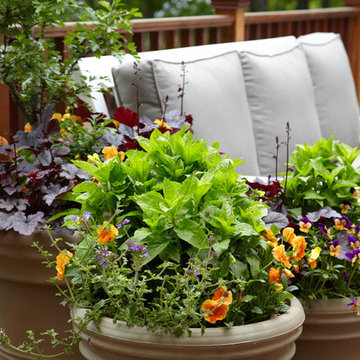 Dream Home Container Plantings - Armonk, NY