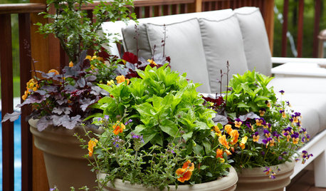 How to Plant a Container That Will Last All Winter
