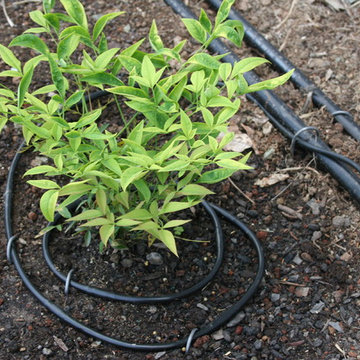 Drip Irrigation Done Right
