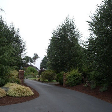 Driveway/Entrance Landscaping