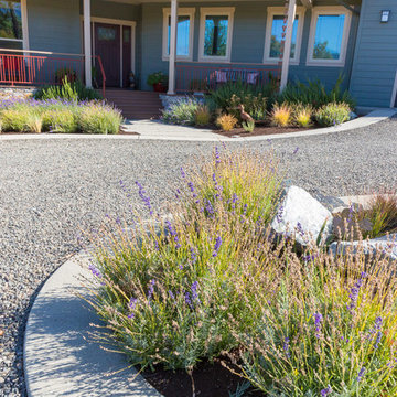 Driveway + Entrance Pathway