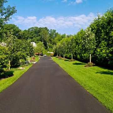 Driveway, Front Yard and Backyard Landscaping