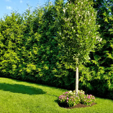 Driveway, Front Yard and Backyard Landscaping