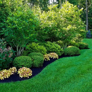 Driveway, Front Yard and Backyard Landscaping