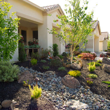 Drought Resistant Front Yard