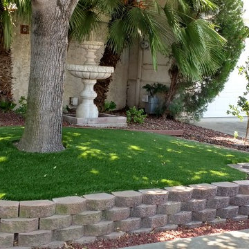 Drought Resistant Yards