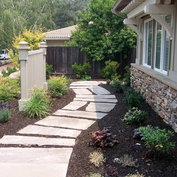 Drought Tolerant and Low Maintenance Landscape