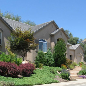 Drought Tolerant, Cold Hardy and Low Maintenance Front Yard