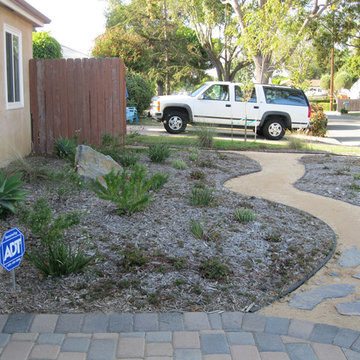 Drought Tolerant Costa Mesa Front Yard