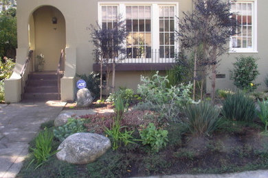 This is an example of a small mediterranean drought-tolerant and full sun front yard landscaping in San Francisco.