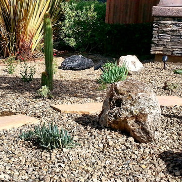 Drought Tolerant front yard