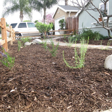 Drought Tolerant Front Yard Garden