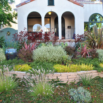 Drought tolerant front yard