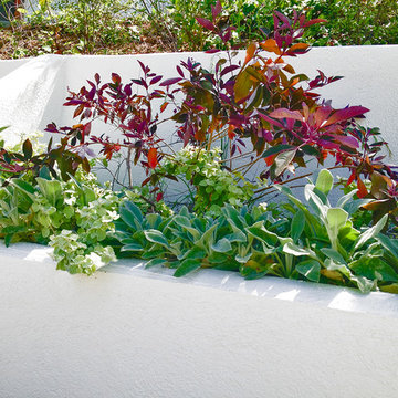Drought Tolerant Garden Detail- Terraced  Side Garden