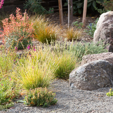 Drought-Tolerant Garden with Moss Rocks