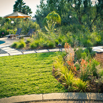 Drought Tolerant Ground Cover, Butterfly Garden and Lounging Area - Back Yard