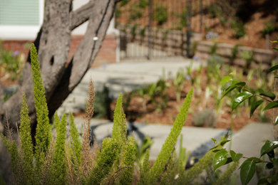 Diseño de jardín de secano moderno en patio delantero con adoquines de hormigón