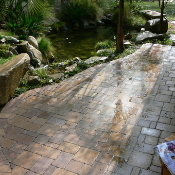 Drought Tolerant Koi Pond and Landscaped Backyard!