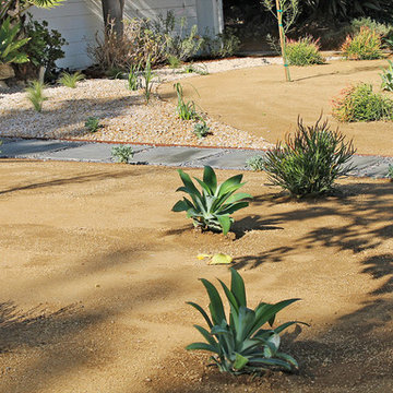 Drought Tolerant Landscape--Front Yard