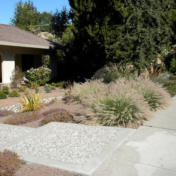 Drought Tolerant Landscape